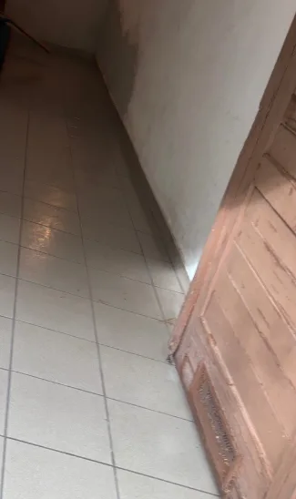 Lomokkal teli pince, utána